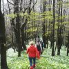 V zajatí cesnaku a vykúkajúceho slnka